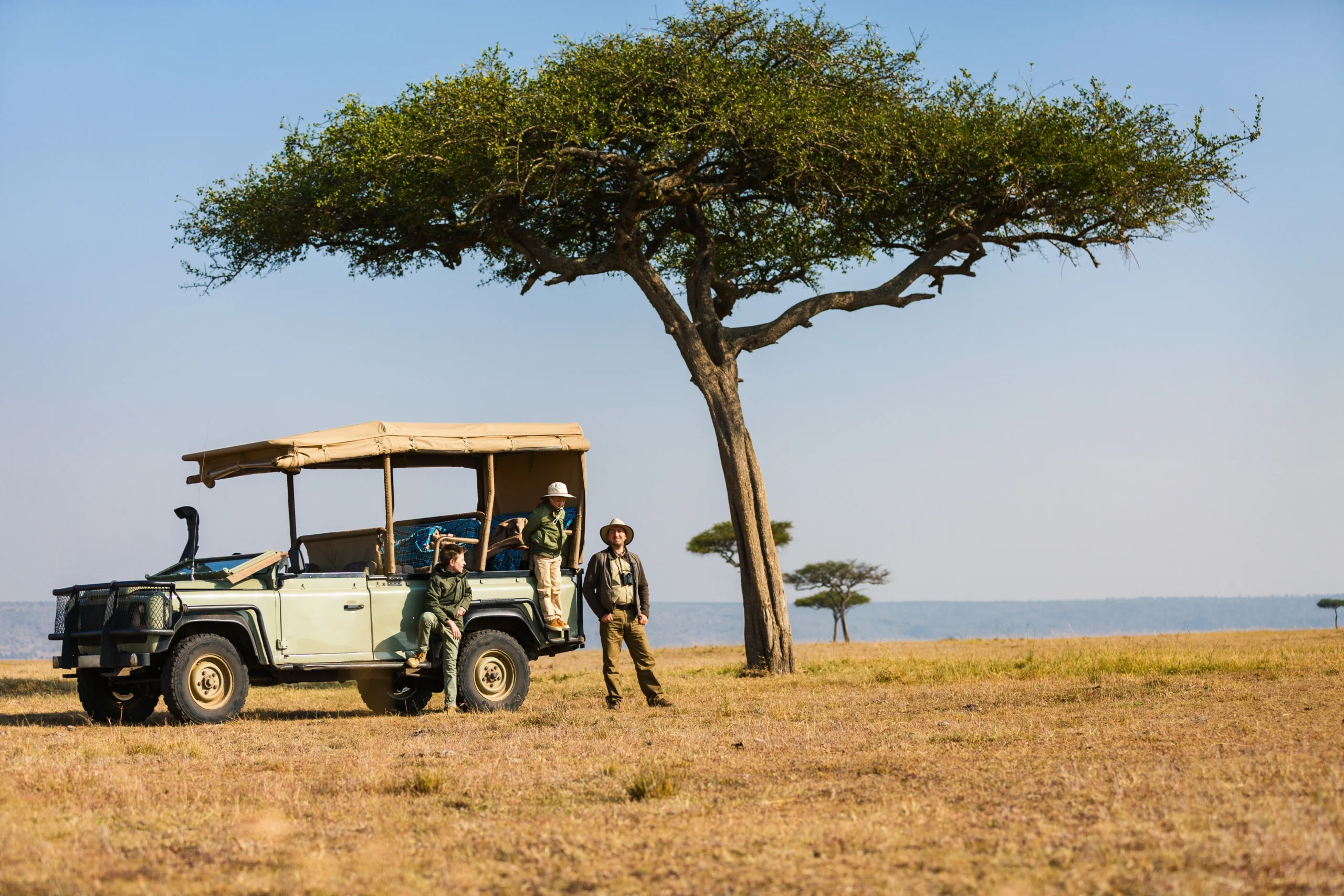 Safari en Sudáfrica en 4×4 junto a un árbol en la sabana africana durante ruta de fauna.